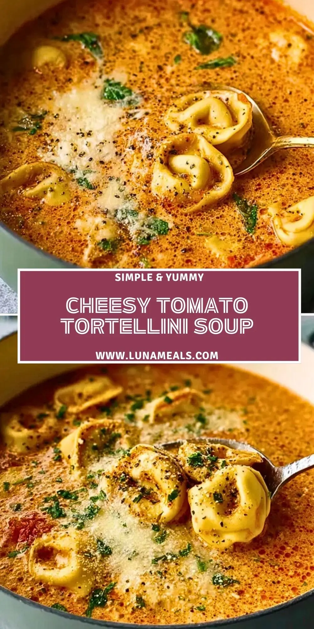 Cheesy Tomato Tortellini Soup (2)