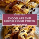 Chocolate Chip Cookie Dough Twists (2)