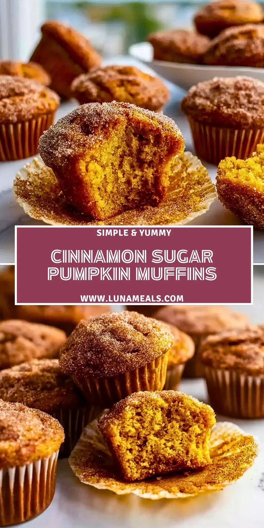 Cinnamon Sugar Pumpkin Muffins (2)