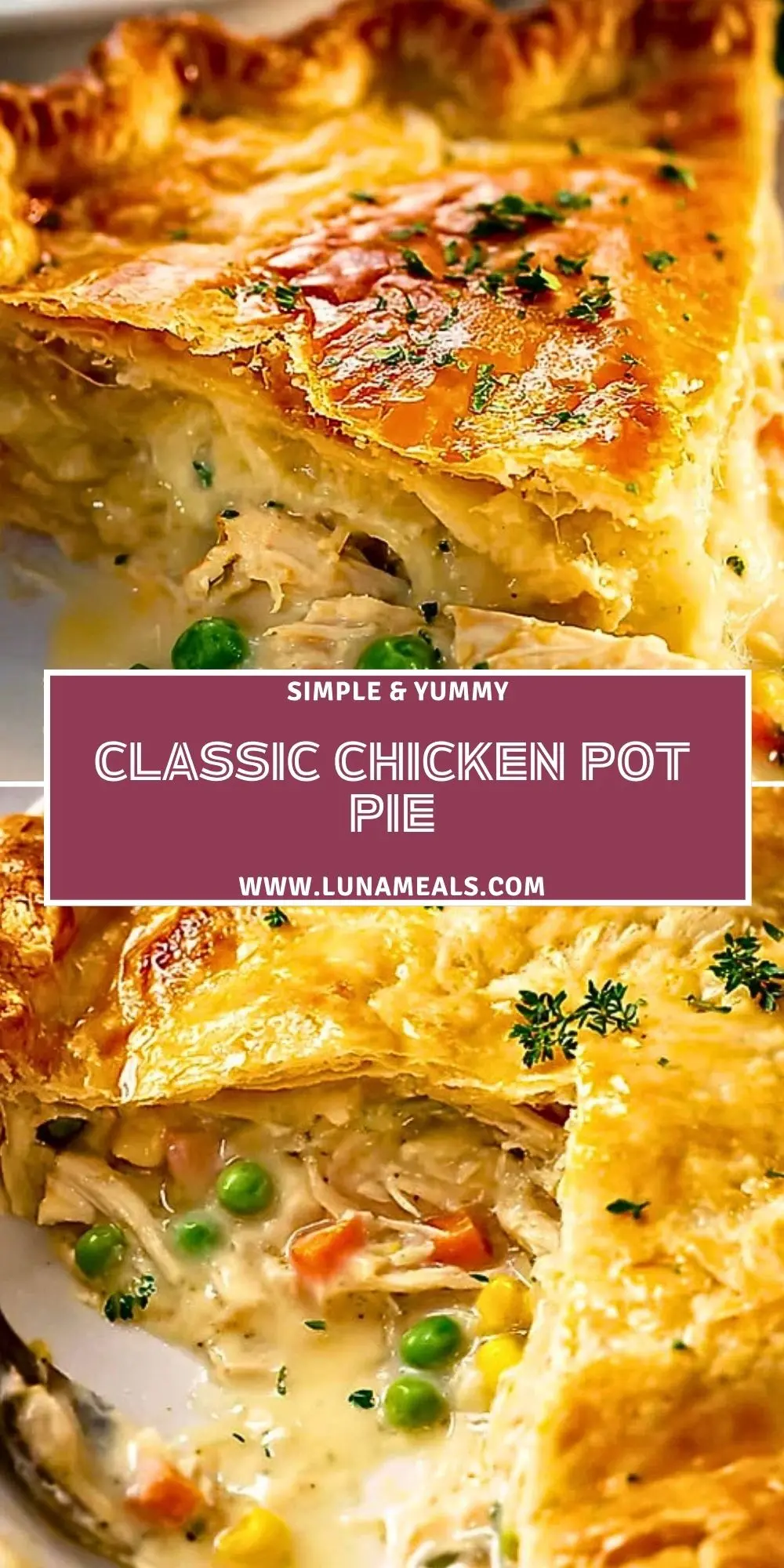 Classic Chicken Pot Pie (2)