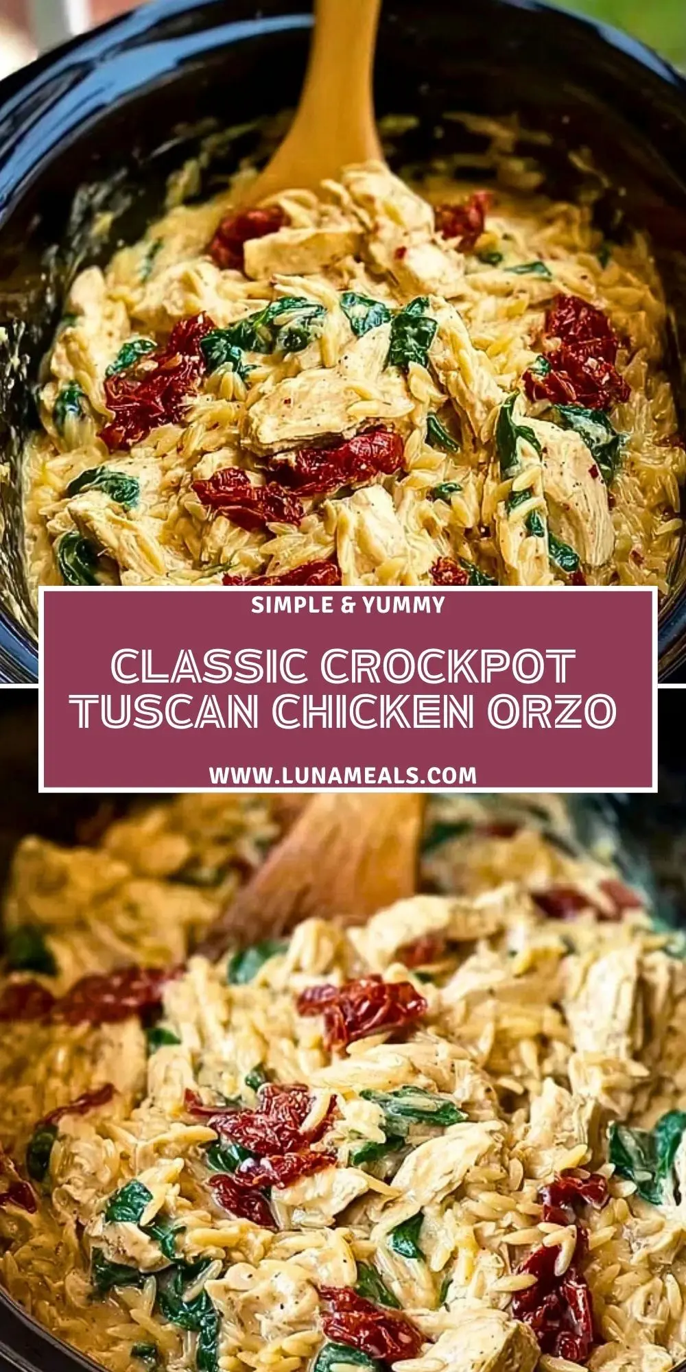 Classic Crockpot Tuscan Chicken Orzo (2)