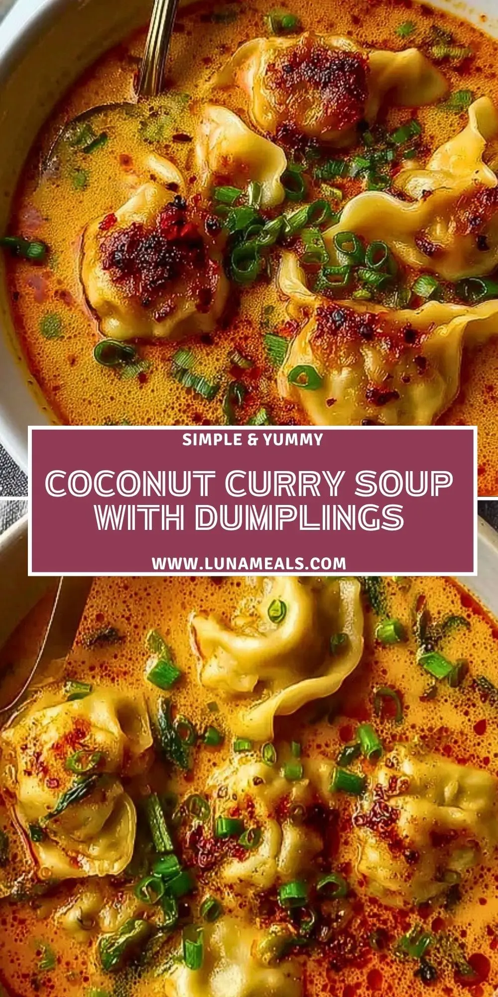 Coconut Curry Soup with Dumplings (2)