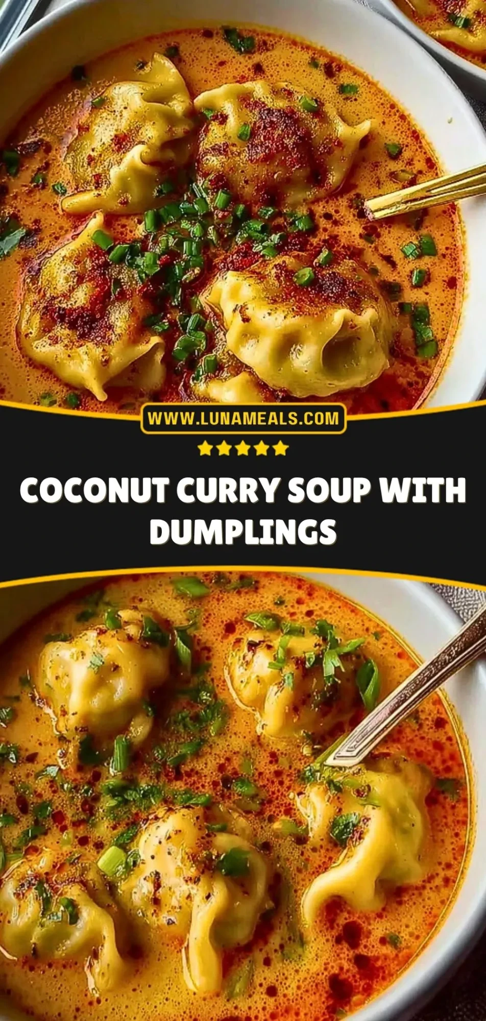 Coconut Curry Soup with Dumplings (3)