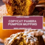 Copycat Panera Pumpkin Muffins (2)