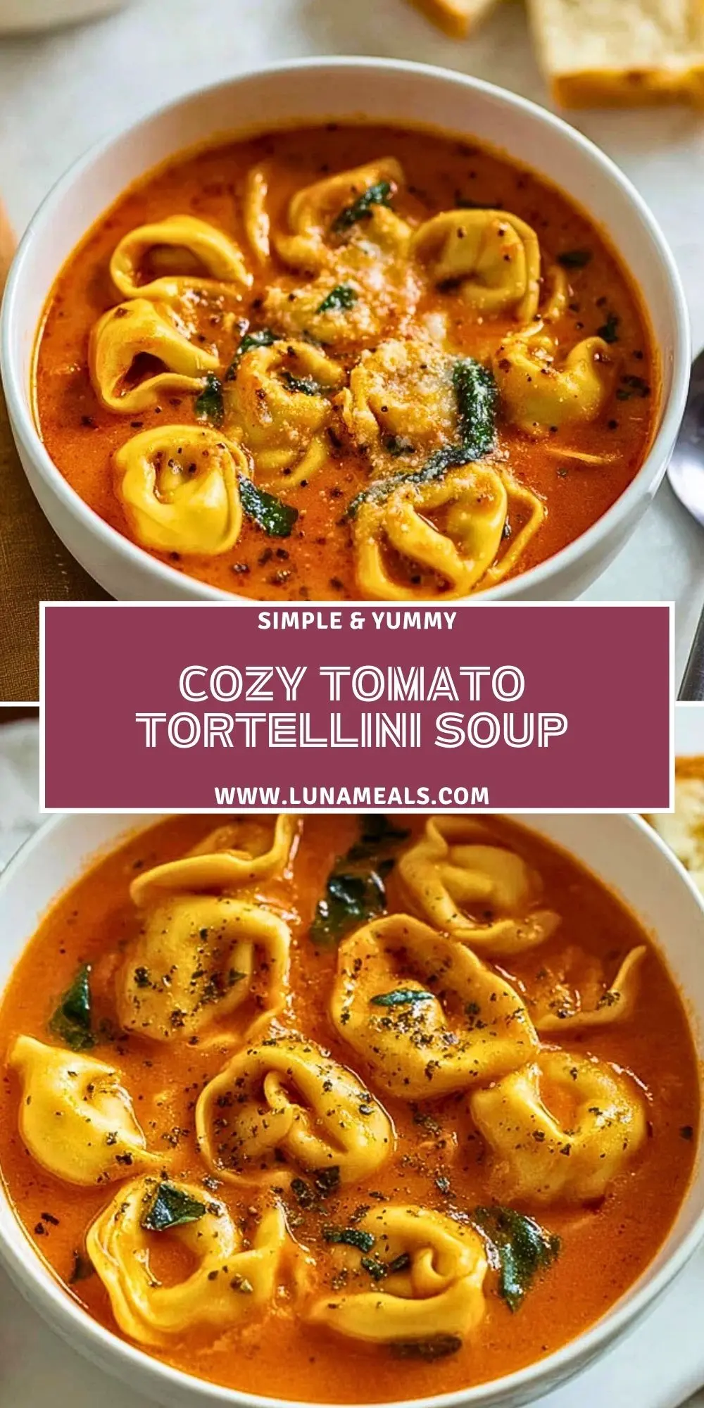Cozy Tomato Tortellini Soup (2)