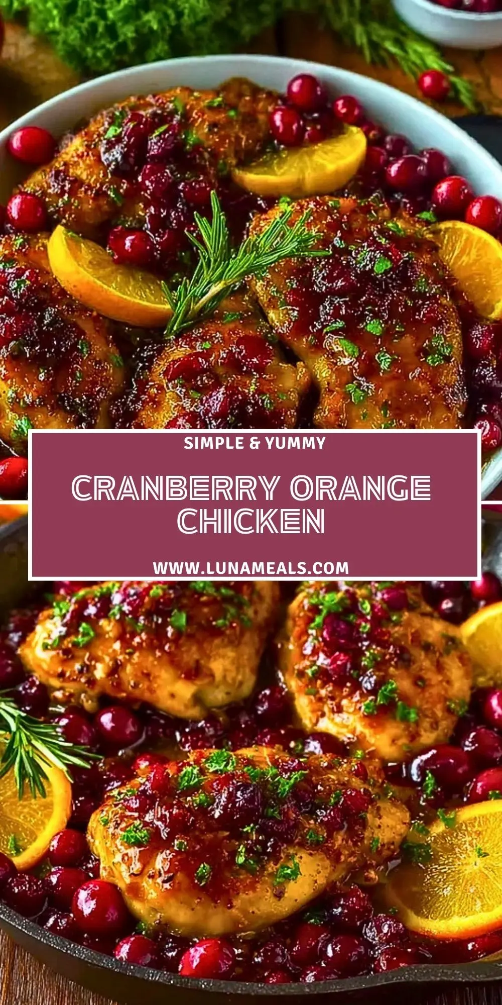 Cranberry Orange Chicken (2)