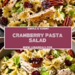 Cranberry Pasta Salad (2)