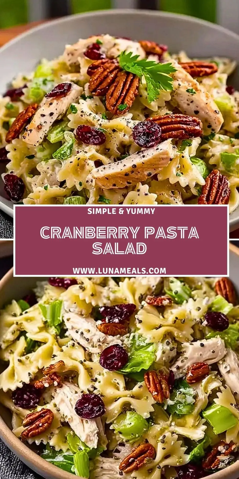 Cranberry Pasta Salad (2)