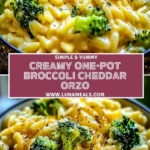 Creamy One-Pot Broccoli Cheddar Orzo (2)