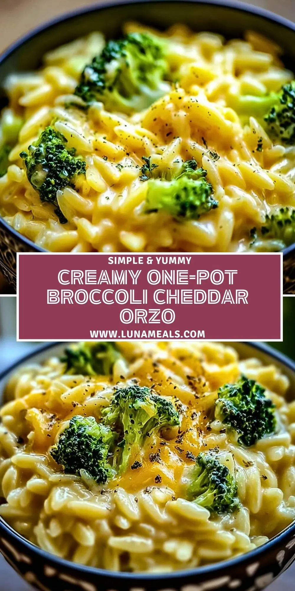Creamy One-Pot Broccoli Cheddar Orzo (2)