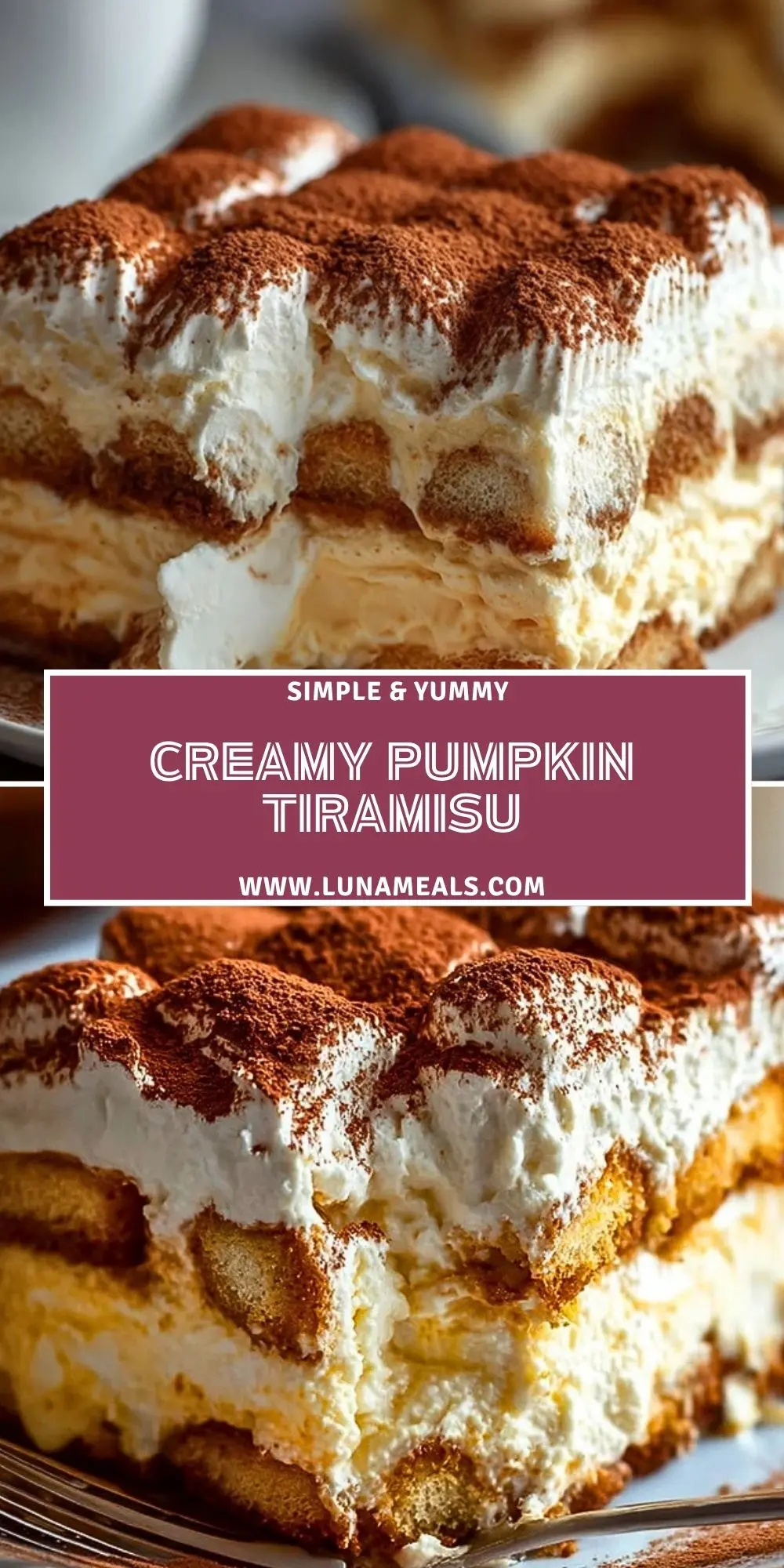Creamy Pumpkin Tiramisu (2)