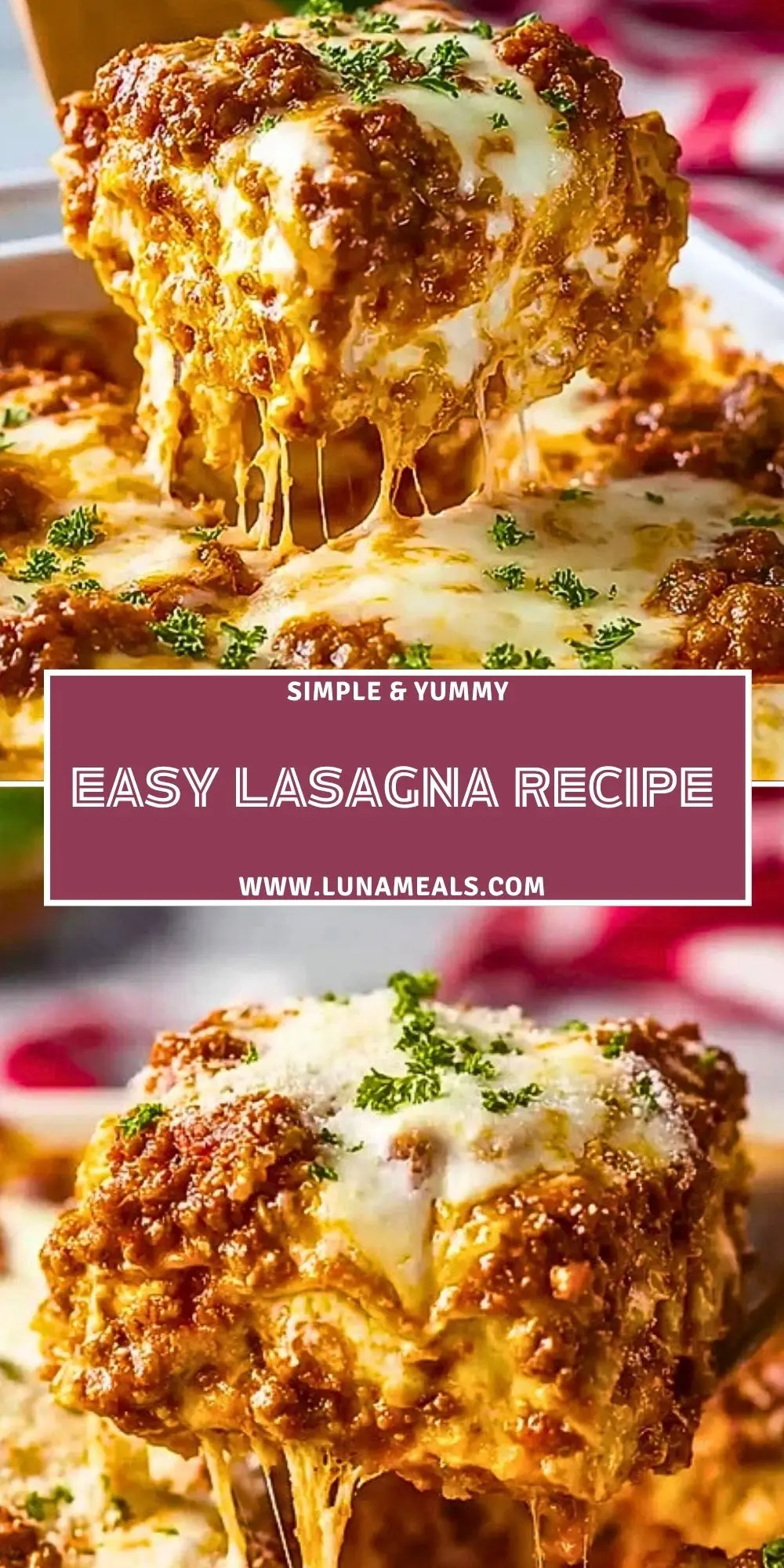 Easy Lasagna Recipe (2)