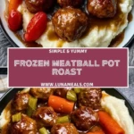 Frozen Meatball Pot Roast (2)
