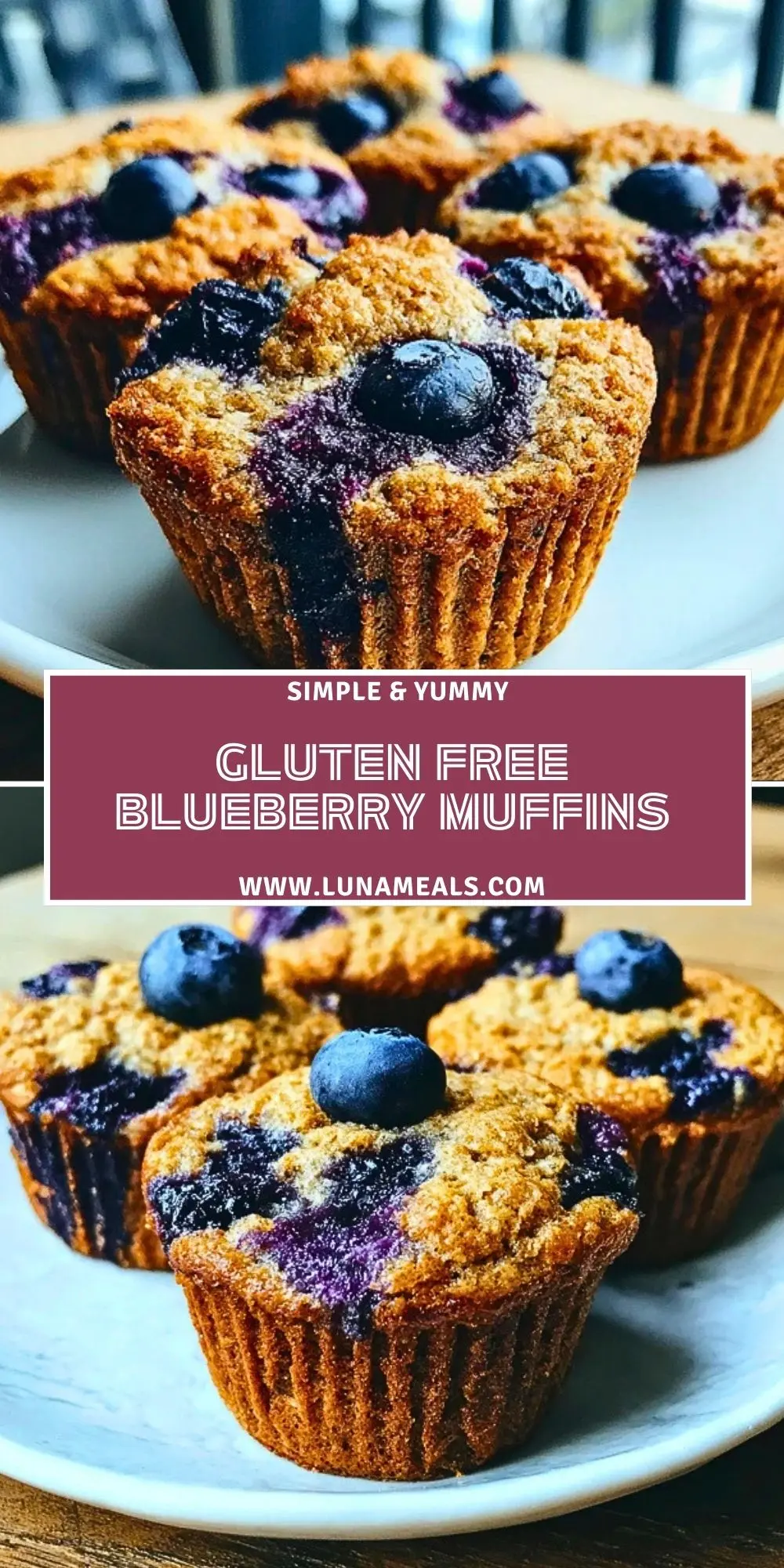 Gluten Free Blueberry Muffins (2)