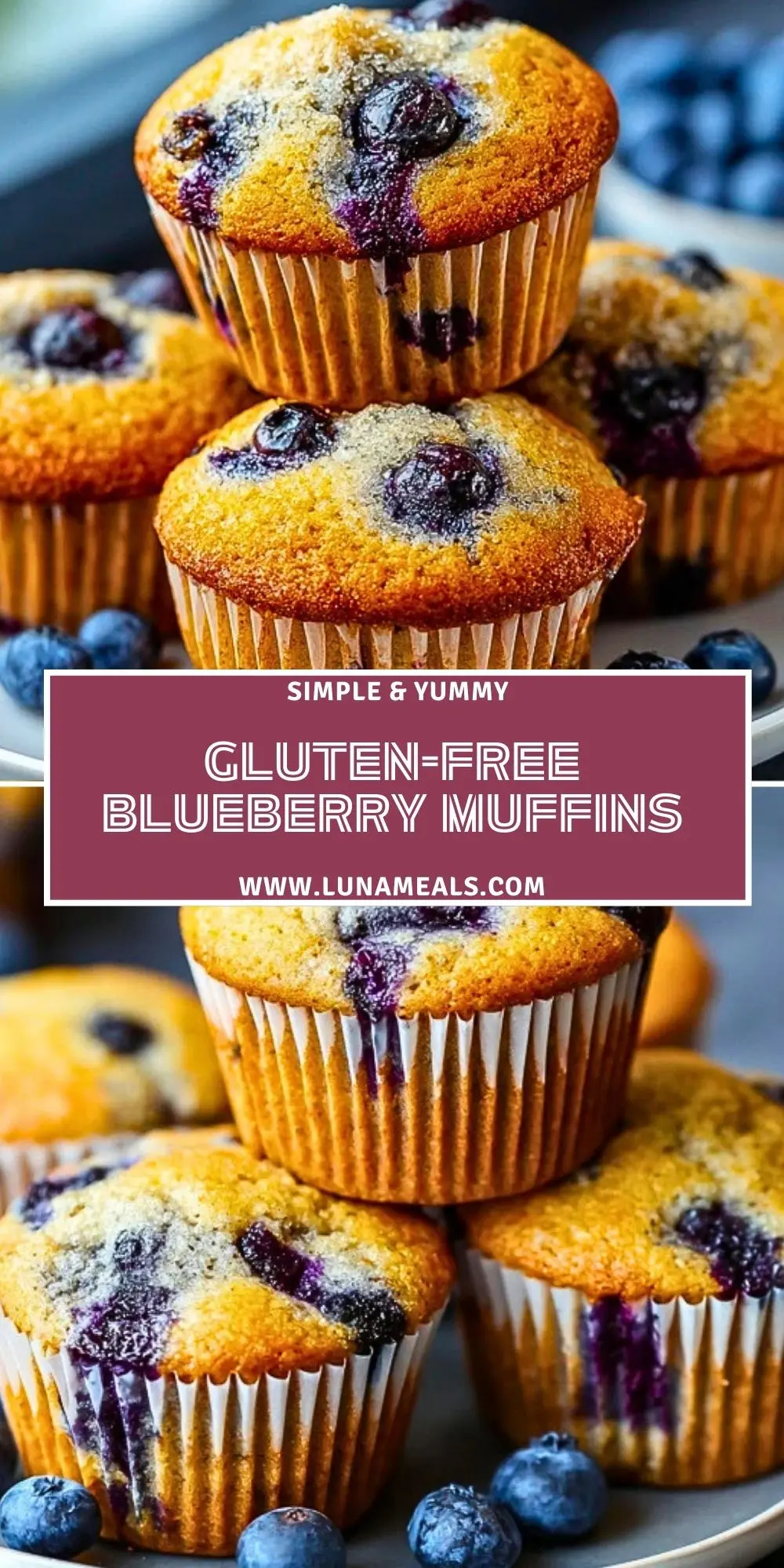 Gluten-Free Blueberry Muffins (2)