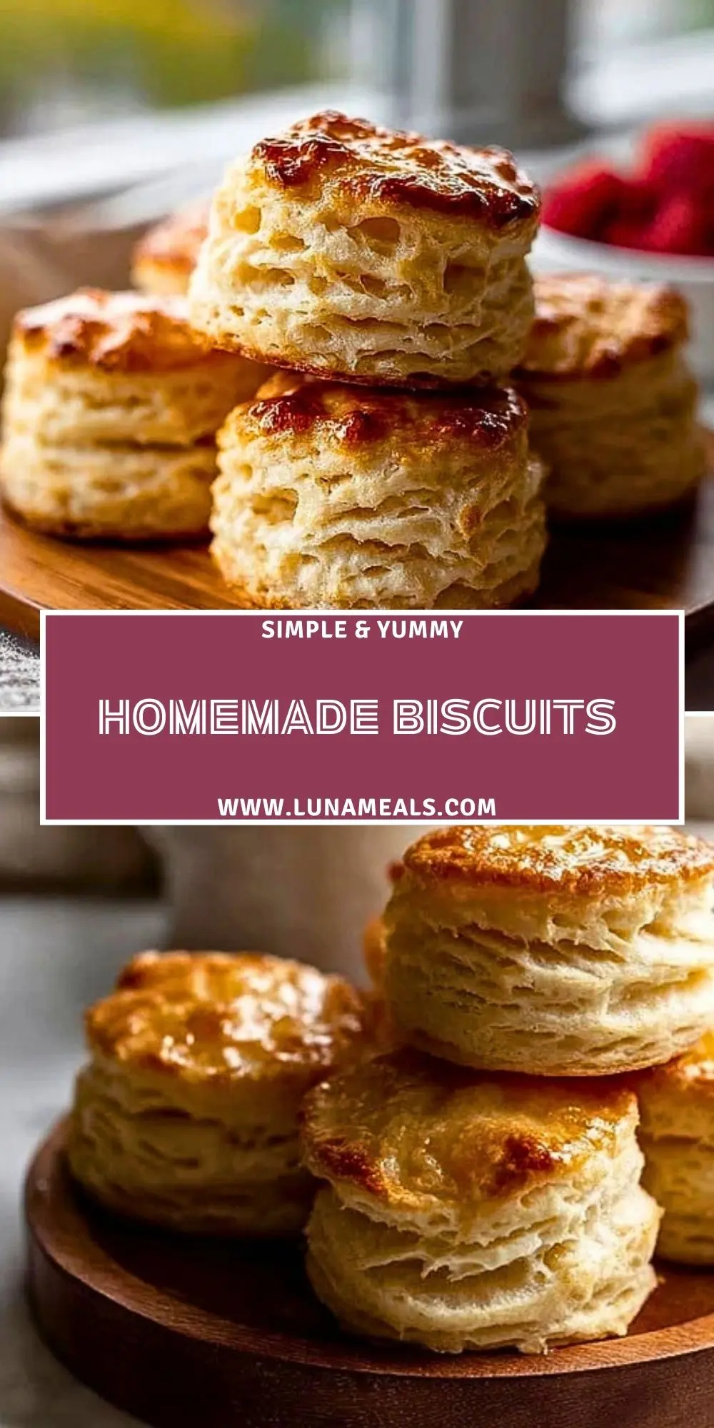 Homemade Biscuits (2)