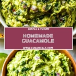 Homemade Guacamole (2)