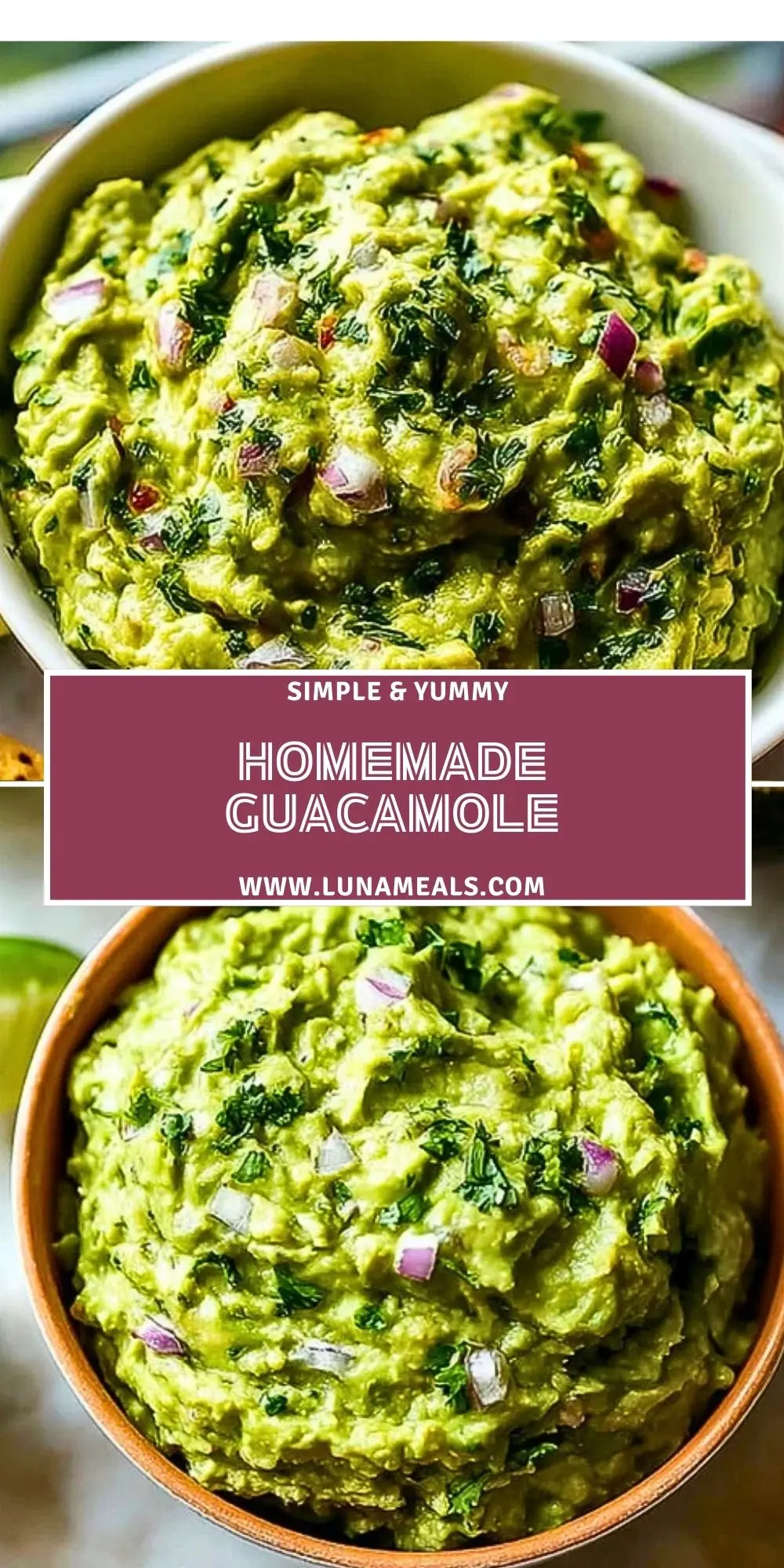 Homemade Guacamole (2)