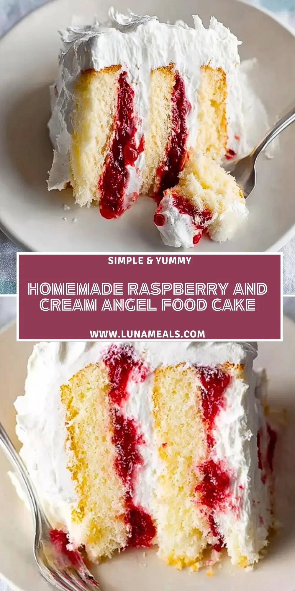 Homemade Raspberry And Cream Angel Food Cake (2)