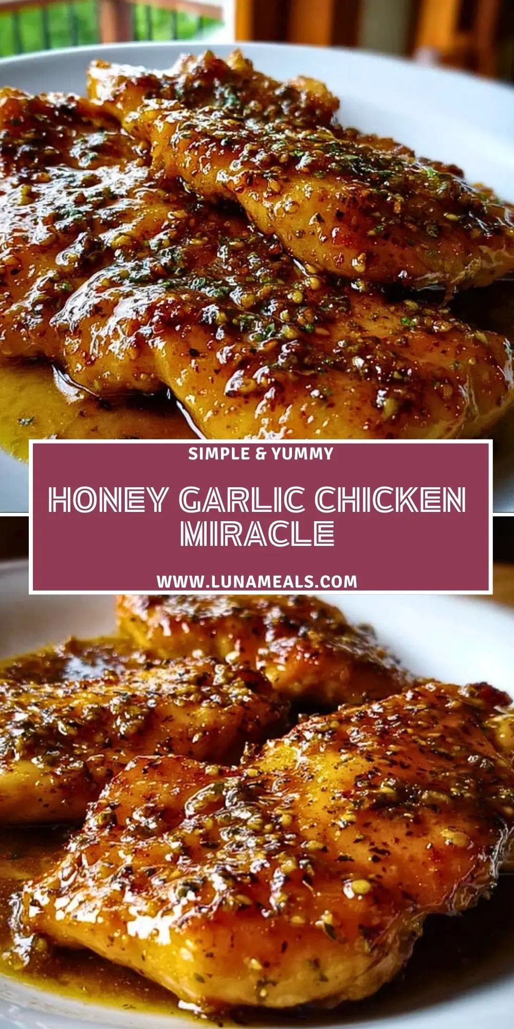 Honey Garlic Chicken Miracle (2)