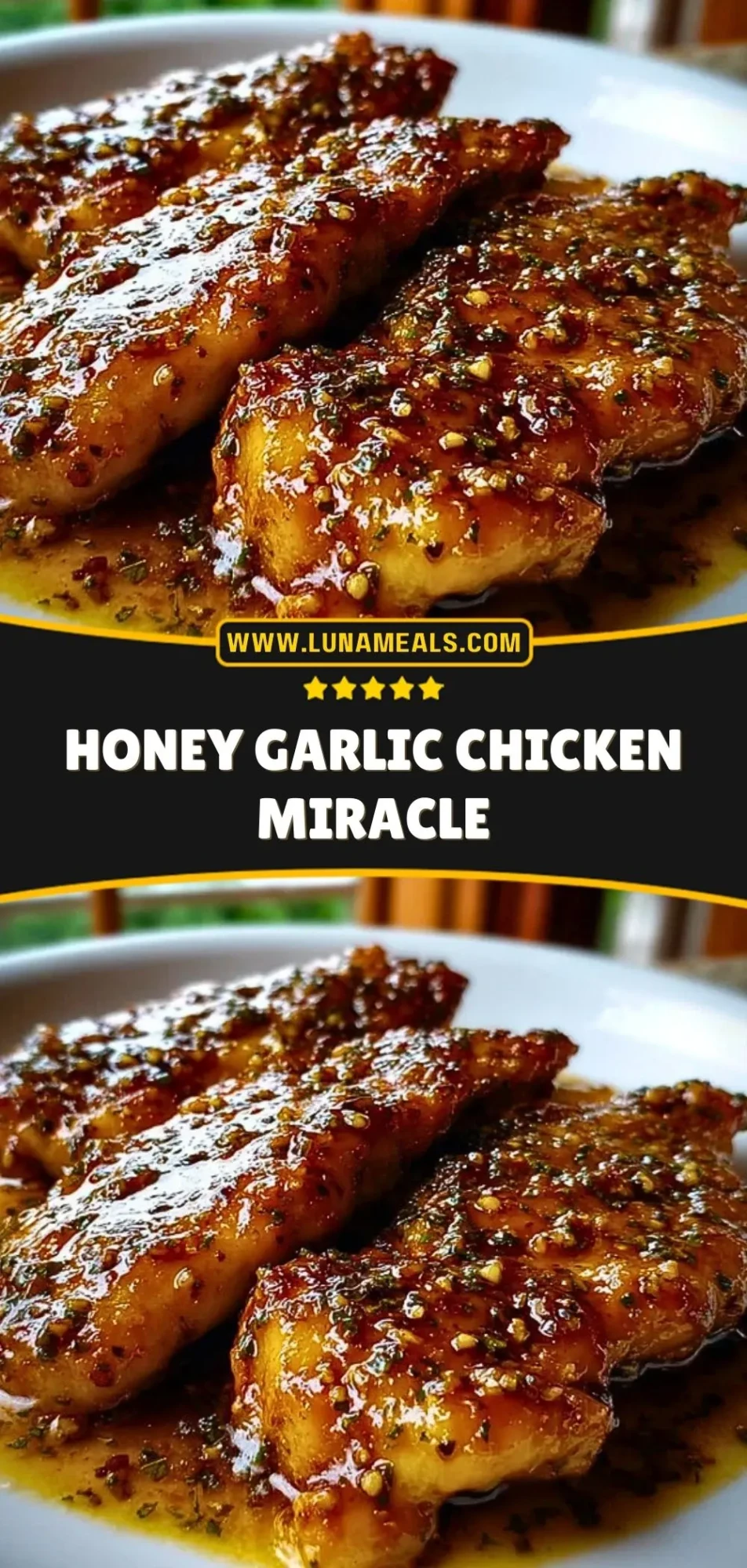 Honey Garlic Chicken Miracle (3)