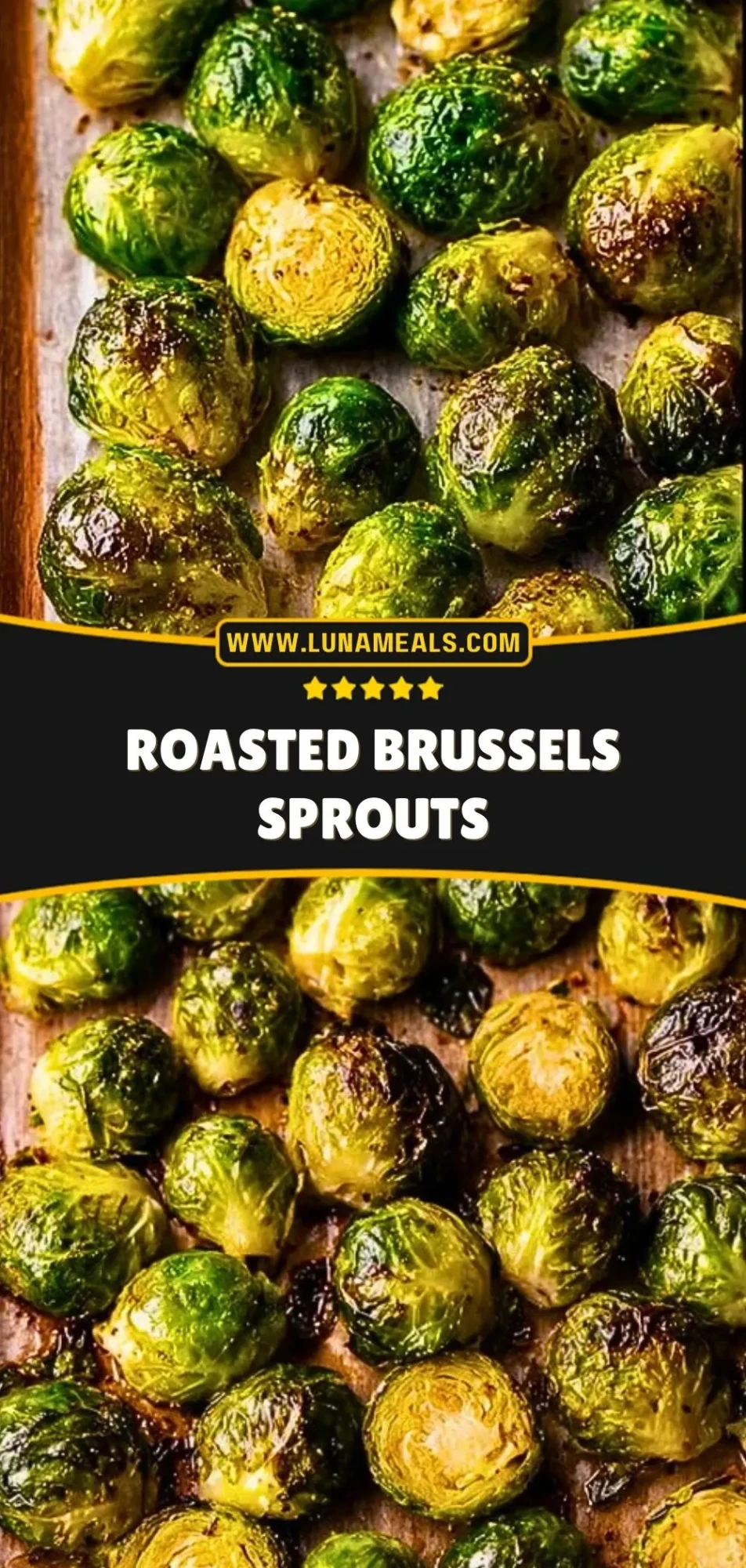 Honey Garlic Chicken Miracle (4)