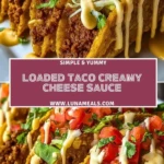 Loaded Taco Creamy Cheese Sauce (2)