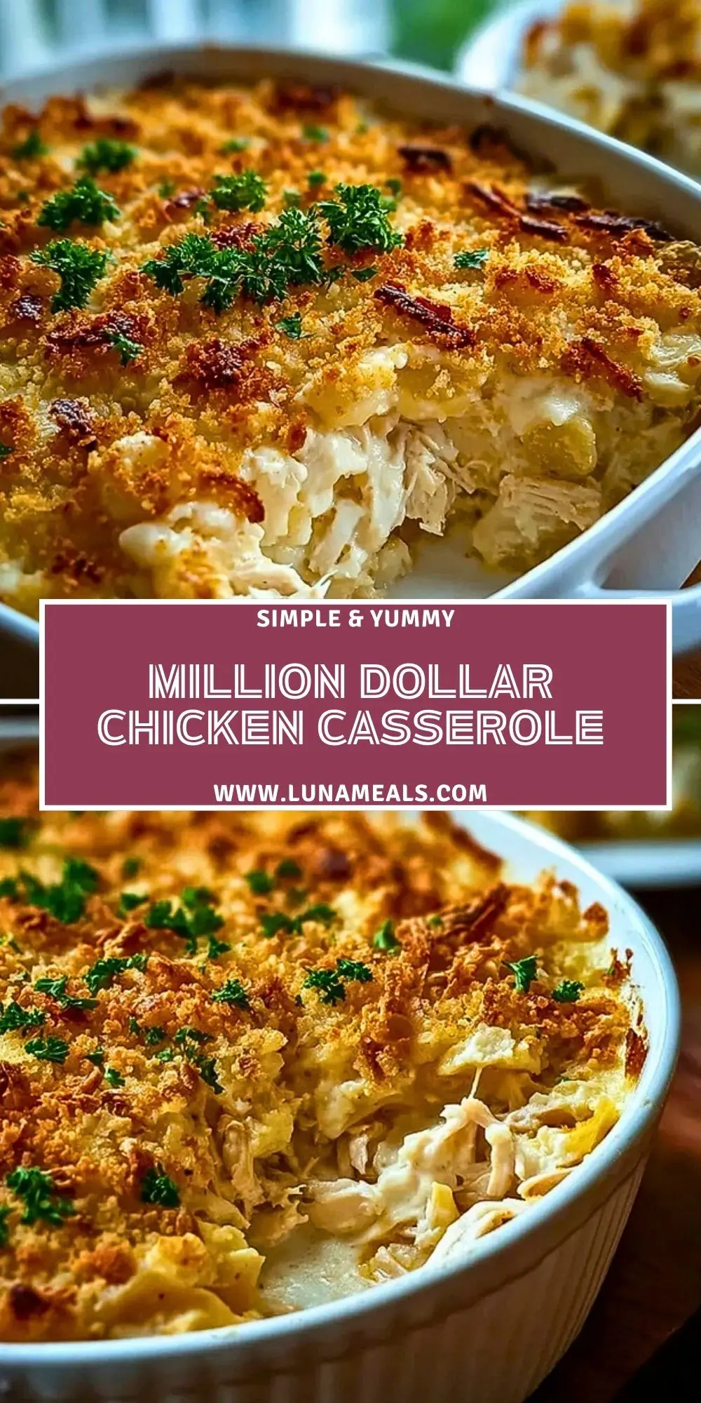 MILLION DOLLAR CHICKEN CASSEROLE (2)