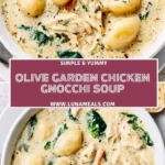 Olive Garden Chicken Gnocchi Soup (2)