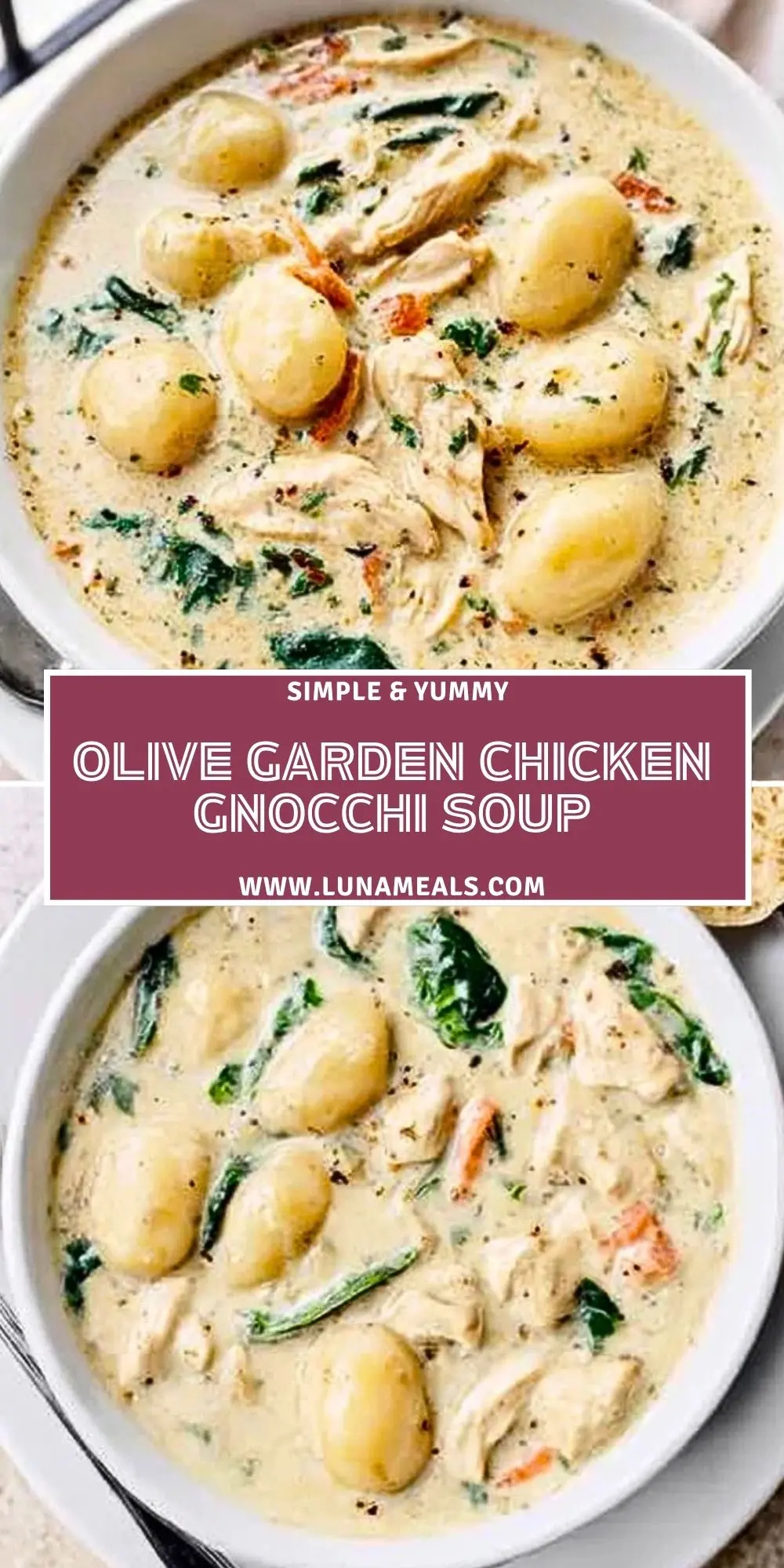Olive Garden Chicken Gnocchi Soup (2)