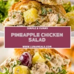 Pineapple Chicken Salad (2)