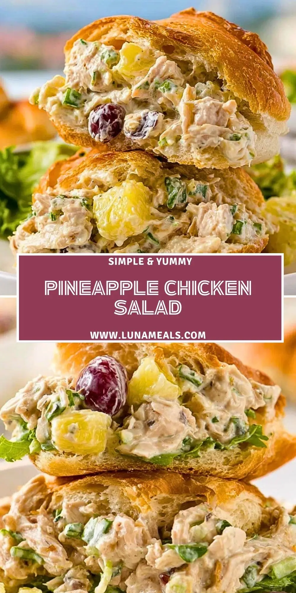 Pineapple Chicken Salad (2)
