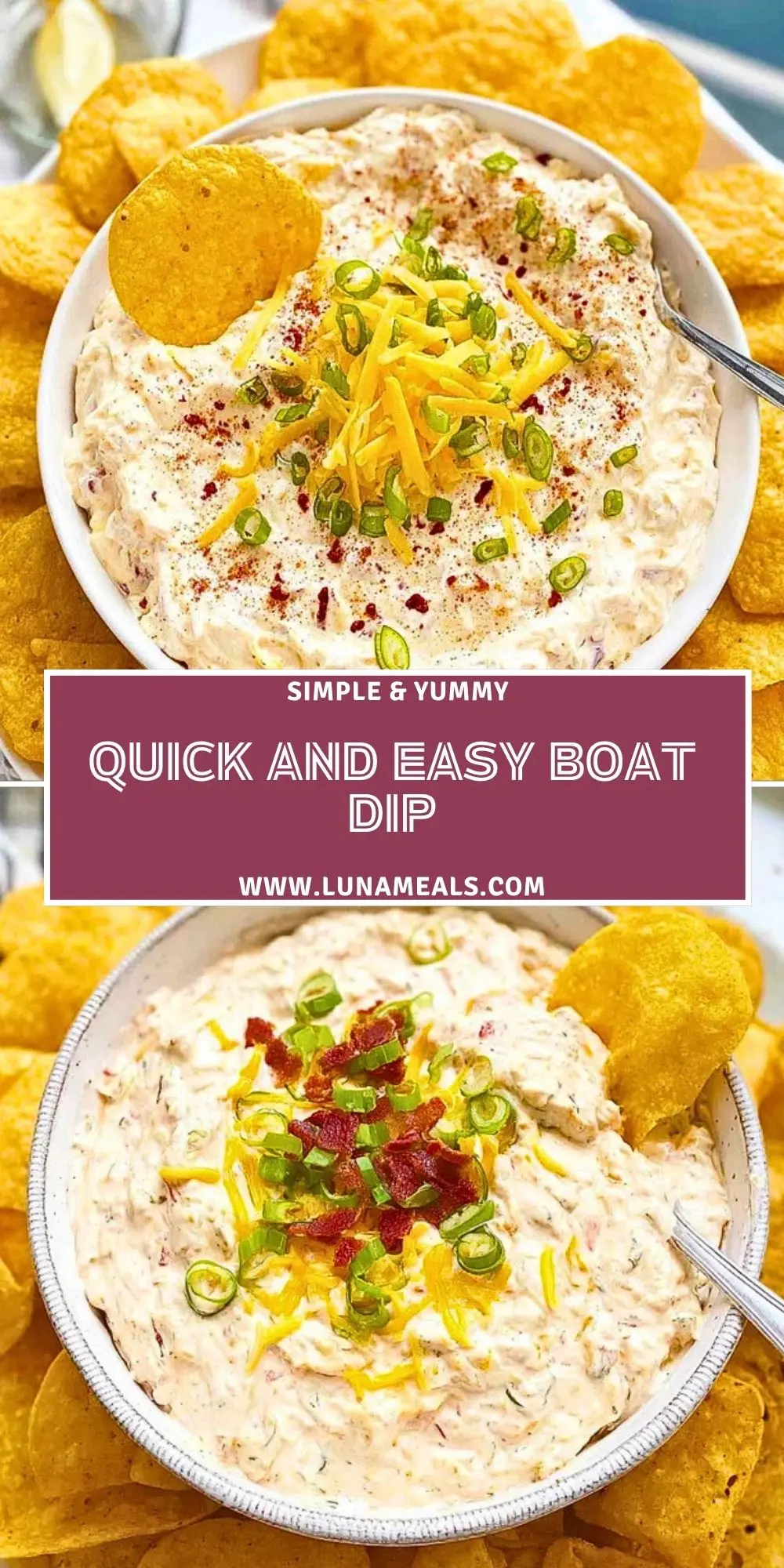 Quick and Easy Boat Dip (2)