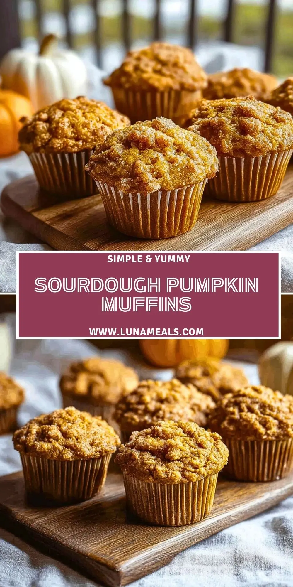 Sourdough Pumpkin Muffins (2)