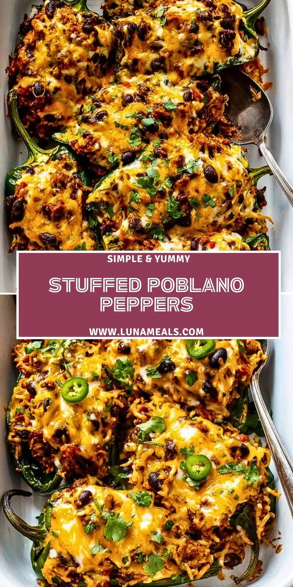 Stuffed Poblano Peppers Pin 1