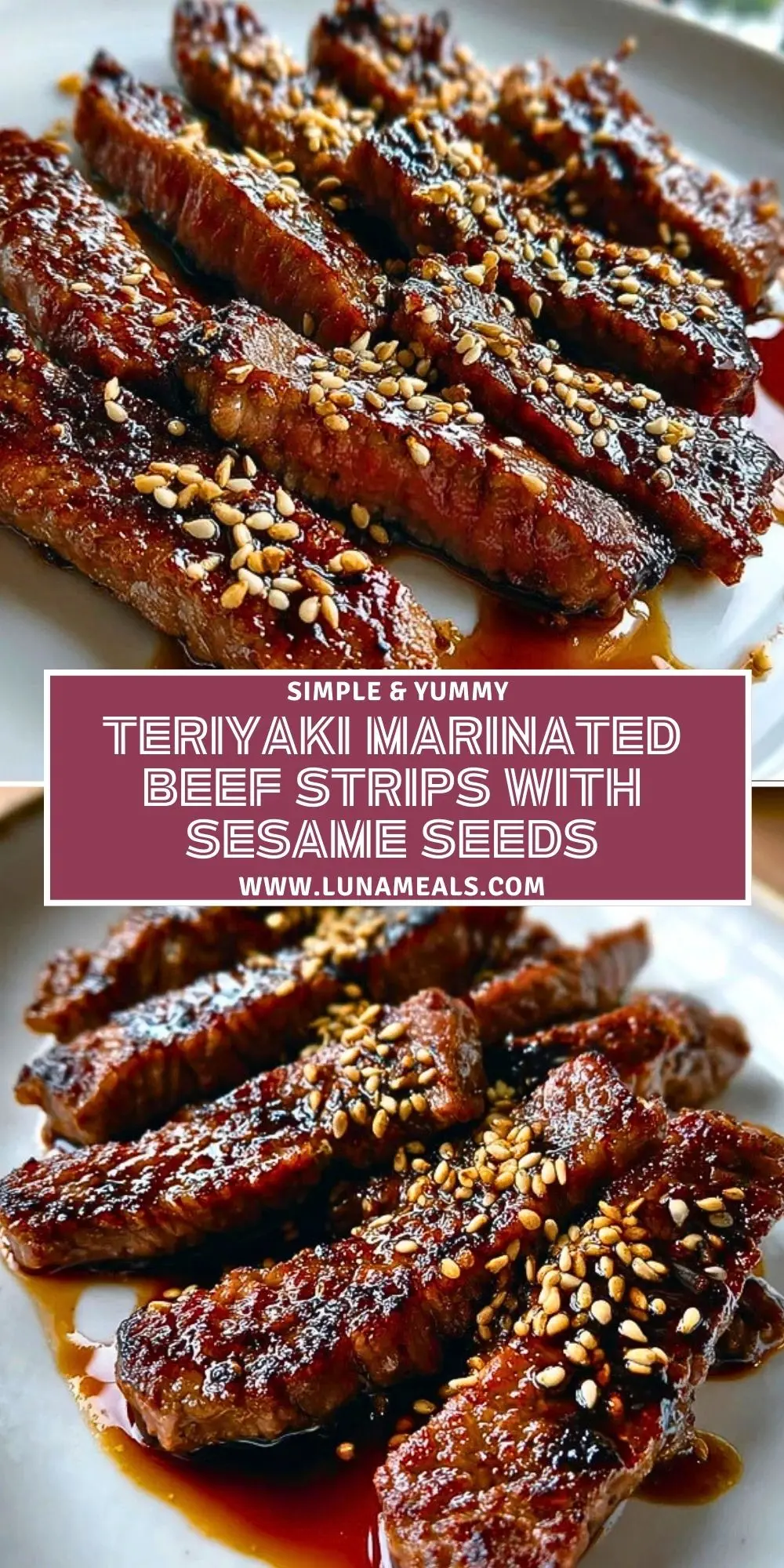Teriyaki Marinated Beef Strips with Sesame Seeds (2)