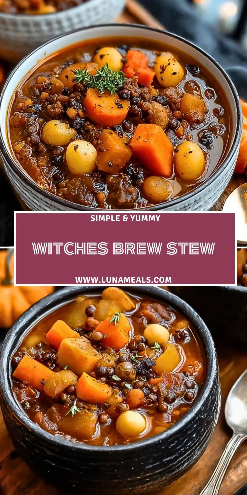 Witches Brew Stew (2)