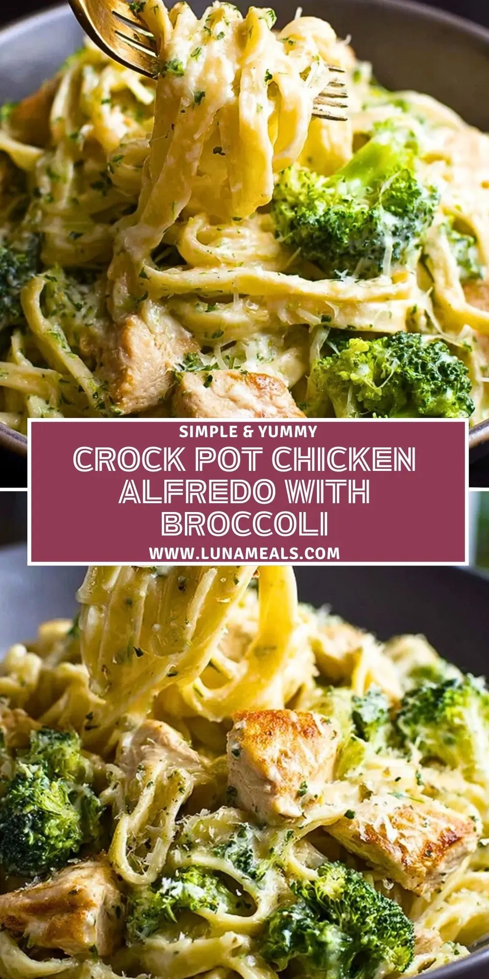 Crock Pot Chicken Alfredo with Broccoli (2)