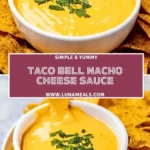 Taco Bell Nacho Cheese Sauce (2)