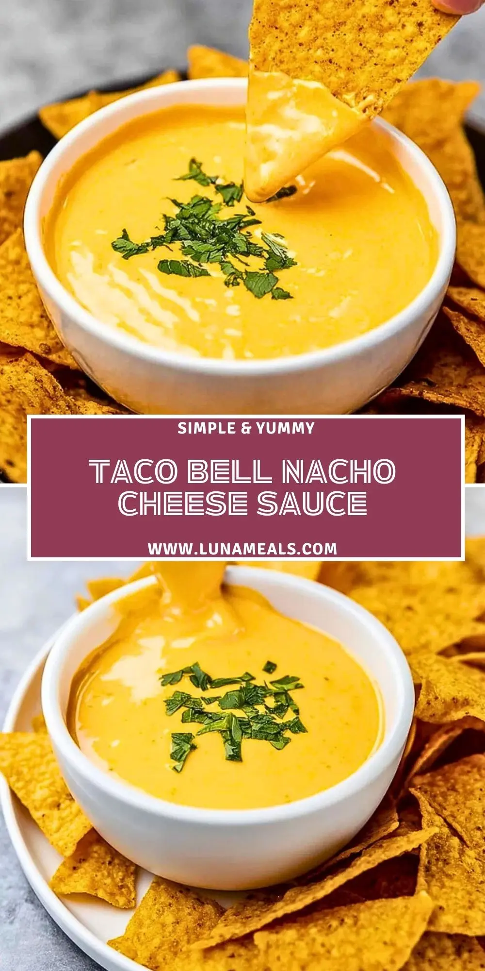 Taco Bell Nacho Cheese Sauce (2)