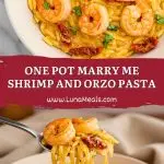 One Pot Marry Me Shrimp and Orzo Pasta